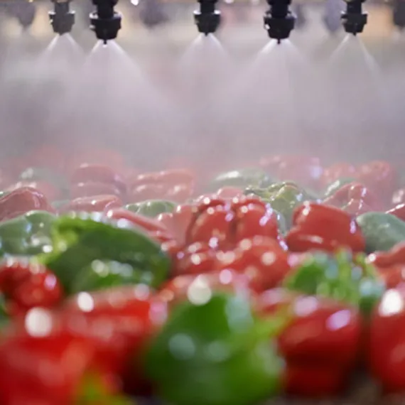 abiotec-eau-de-lavage-legumes-2